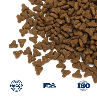 L'alimentation crue de qualité pour chats est-elle un bon choix ?